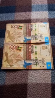Две БАНКНОТЫ 1000 ТЕНГЕ на байковой поверхности 13-ого Фе