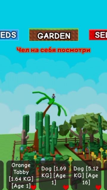 Я НЕ НУБ!!!