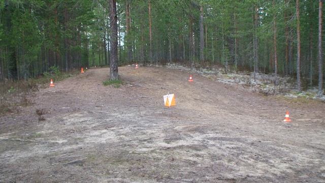 Змей Горыныч 2025 К1488
