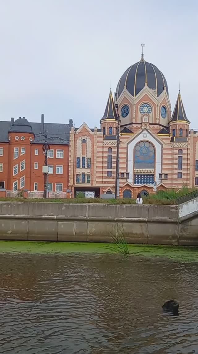 Калининград за одну минуту с воды Прогулка на кораблике История города Экскурсия