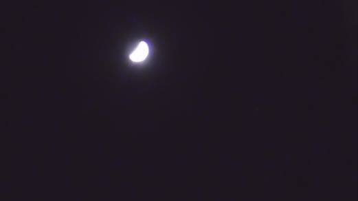 03.04.2025 Moon & Jupiter 21-59 msk