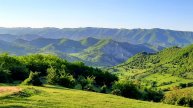 Швейцарский Таваспар.