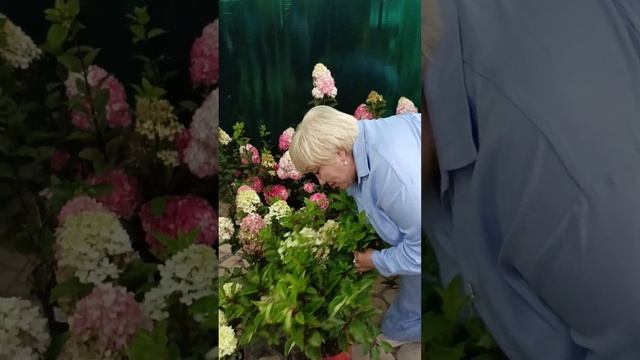 Вера Глухова даёт интервью Борису Борисову, а я бессов
