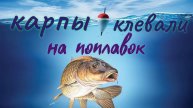 КАРПЫ клевали на ПОПЛАВОК и утаскивали удочки 🎣