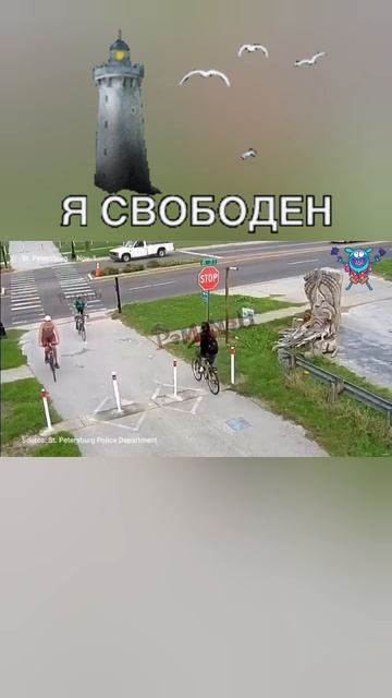 # свободу попугаю #