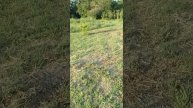 1000003372.mp4