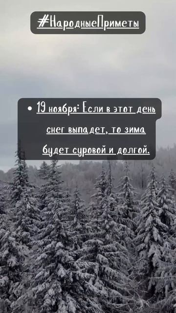 #сарказм #юмор #шутки #анекдоты #цитаты #приметы #народн