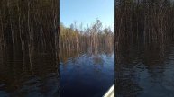 1000020674.mp4