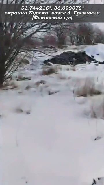 Мусор даже из космоса видно - "хорошая" заявка города К?