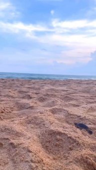 b25eb569-1912-4771-adb7-cfeedfbccb97-1_all_19038.mp4