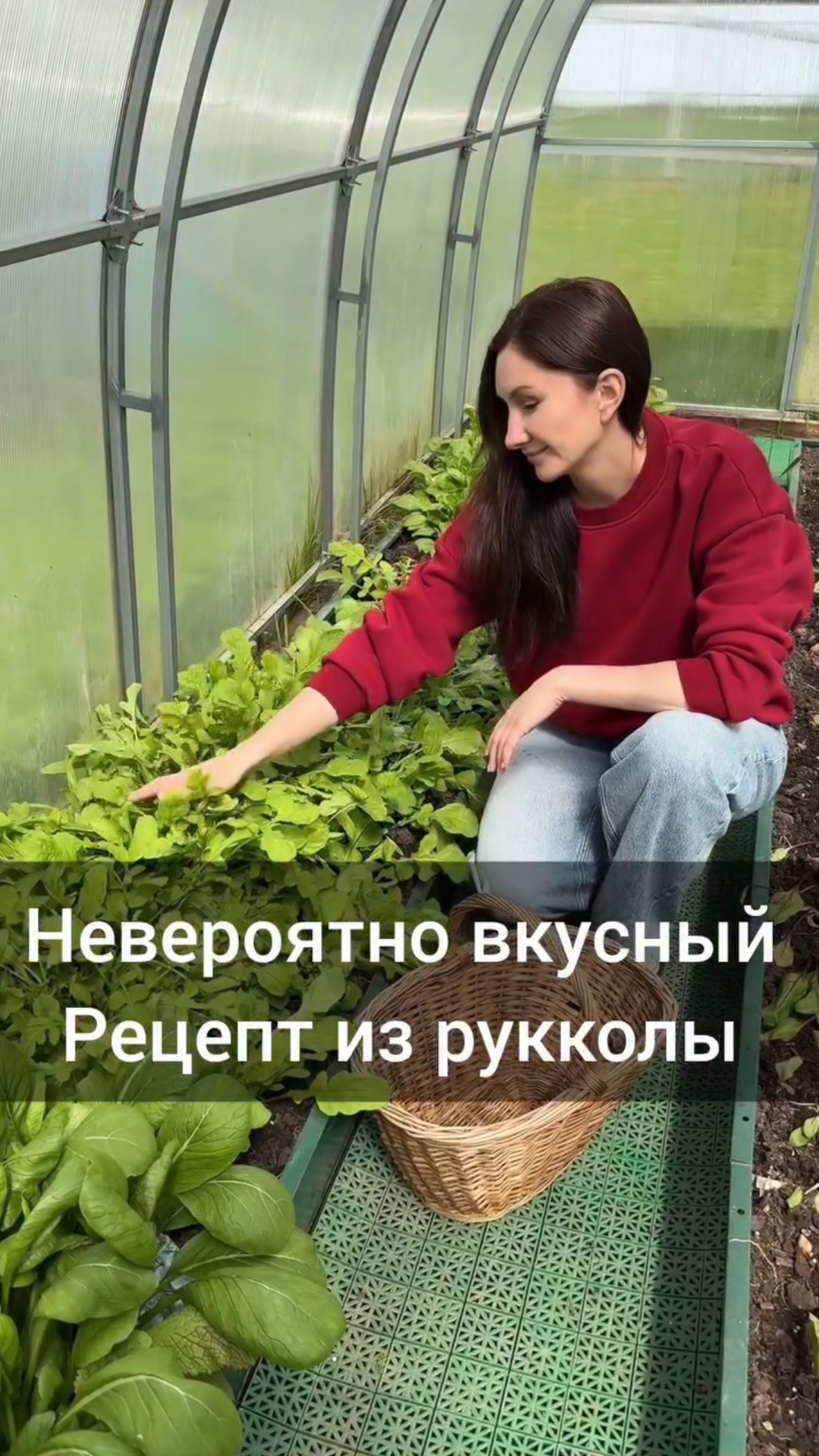 Сейте побольше рукколы,чтобы приготовить эту вкуснятину.  
А именно,  песто!