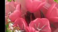 VID_20250510_010203_473.mp4