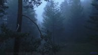 Природа звучит как никогда честно под этот саунд - Makes-Shift Salvation -- HoliznaCC0 -- Makeshift