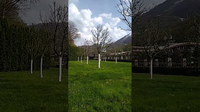 Деньги. 6 лекарство для тощего кошелька.