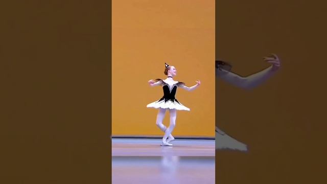 Клип @balletbeautifulart