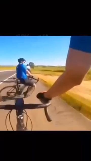 Прикольные видео