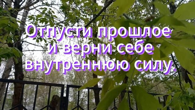 Обида забирает твою энергию