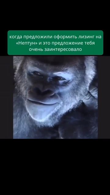 Когда предложили оформить лизинг на ковромоечный авт?