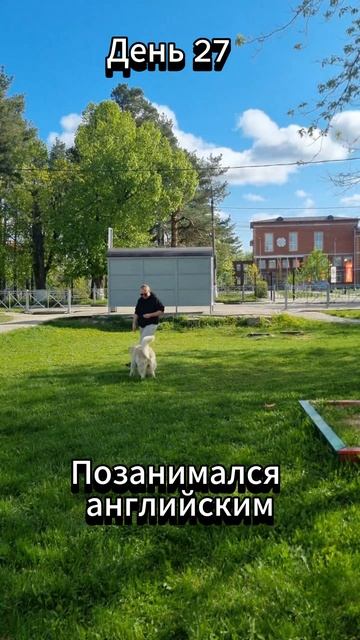 День 27