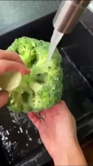 Улитки из лосося с брокколи и сливочным соусом
