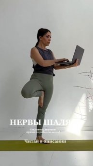Нервы шалят??! Становись в пощу дерева прямо а рабочем месте. Как? Читай в описании