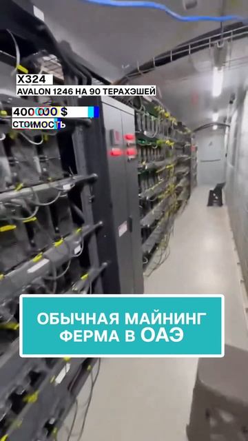 Обычная майнинг-ферма в ОАЭ! #майнинг #крипта #инвестиц