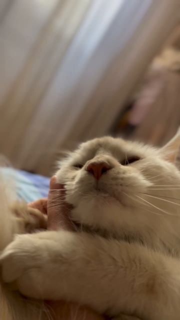 Moments of softness by T. Kite