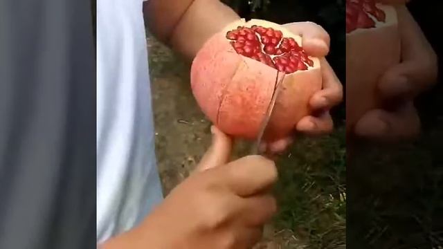 Как обращаться с гранатой, чтобы она не взорвалась в р?