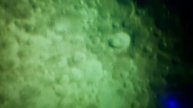 08.05.2025 Moon SW1309 QHY5III715C SharpCap instr 23-23 msk