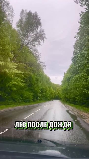 Летний вайб