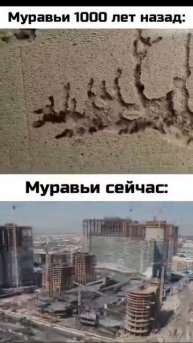 @vkino_real - названия доступны только подписчикам (подпишись и смотри лучшие фильмы и сериалы)
