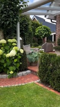 #hydrangea#гортензия#garden#гортензія#сад#flowers#park#jardin #shorts#アジ?