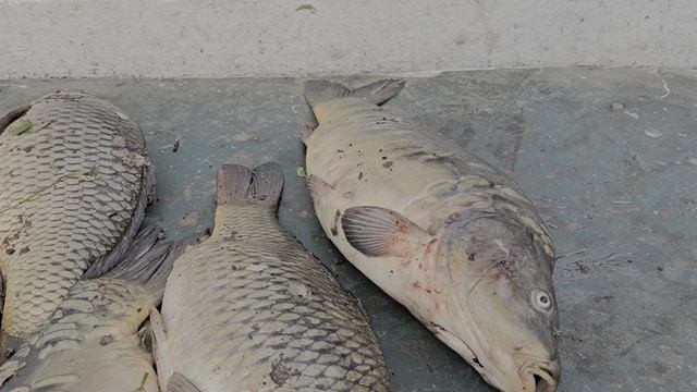 10.05.25 г. Парк отдыха водопад