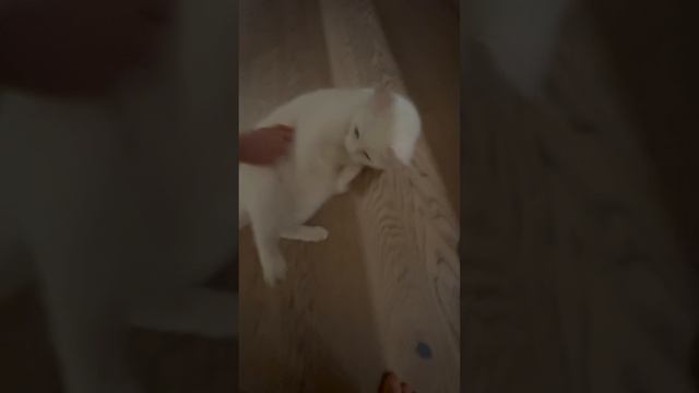 10 МИНУТ с Алисой! Наши любимые РАЗГОВОРЫ перед сном!