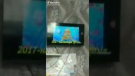 мульт