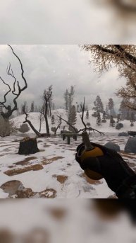 Граната хорошо долетела. ⭐Сталкер Anomaly H.A.Z.E: Reloaded #shorts #