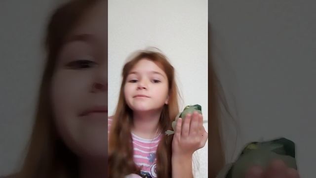 да у меня есть яширица живая