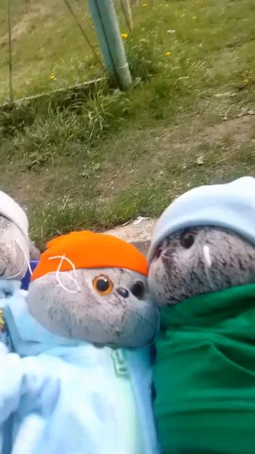 Девочки-принцесы, мальчики не знают чем заняться 😂