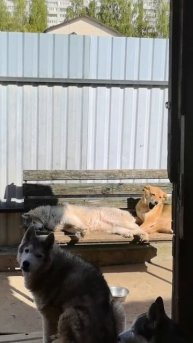 VID_20250510_101731_089.mp4