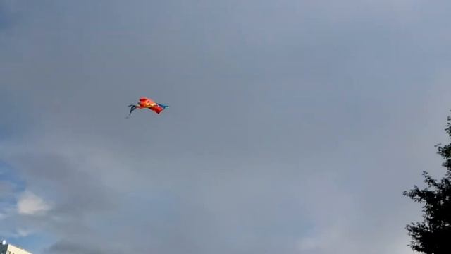 Запуск воздушного змея.