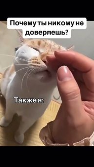 рефлекс