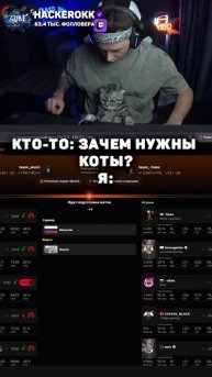 УЧИТ КОТА ИГРАТЬ В КС... - twitch.tv/hackerokk #cs2 #кс2 #shorts
