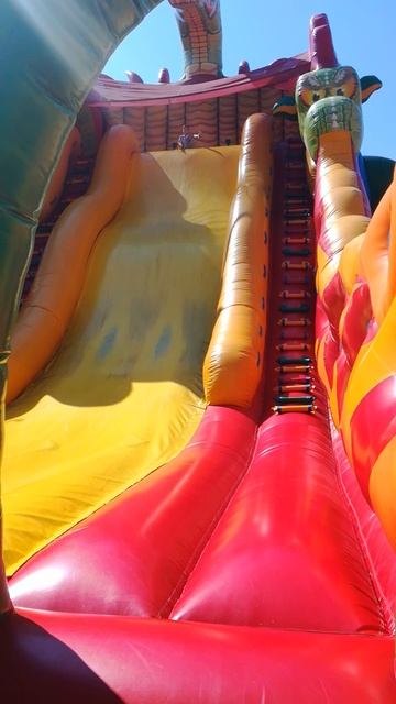 VID_20200728_142619
