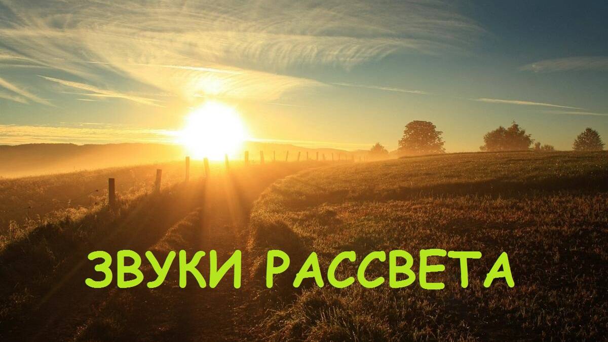 Звуки рассвета. Звуки природы.