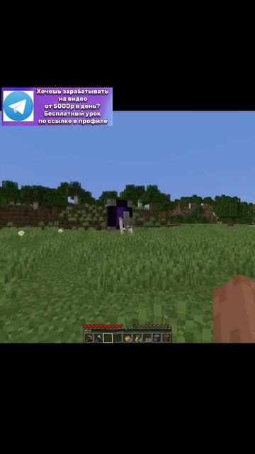 Дефолт в Майнкрафте #memes #мем #майнкрафт #minecraft #деньги #e