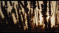 Мелодия, превращающая заднее сиденье в лучший номер отеля - Songwriter for Life -- Taylor Poe -- Qui
