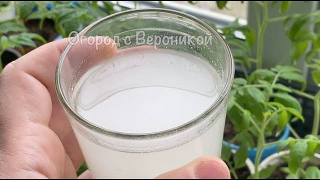 🌱 ВНОШУ ПОД ЛЮБУЮ РАССАДУ — ТОЛСТЕЕТ НА ГЛАЗАХ! ДАЖЕ ДОХЛАЯ ОЖИВАЕТ И ПРЕТ ВОВСЮ! 💪