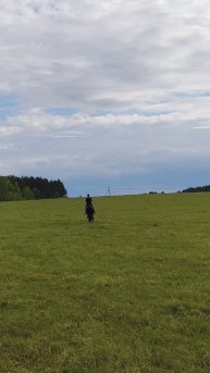 Оксана Новикова и Дольче Вита, самостоятельная работа, работа в поле.