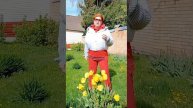Цветочнное полнолуние в Скорпионе
