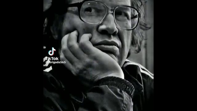 какашка в туалете